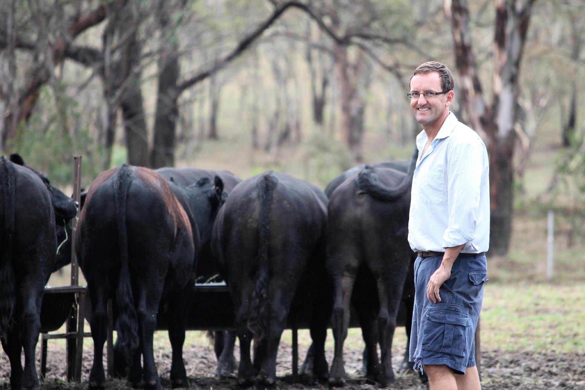 Matt Meehan, owner of Lifesolver Financial, standing in field with animals