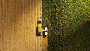 This image is of a tractor cutting a crop, taken from arial view. Half the field has been cut and the other half is yet to be cut, creating a beautiful, textured image.