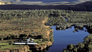 An image of a cattle station