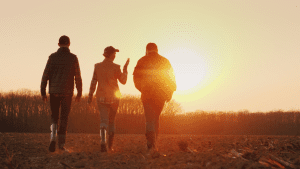 Should You Diversify Your Farm Income?