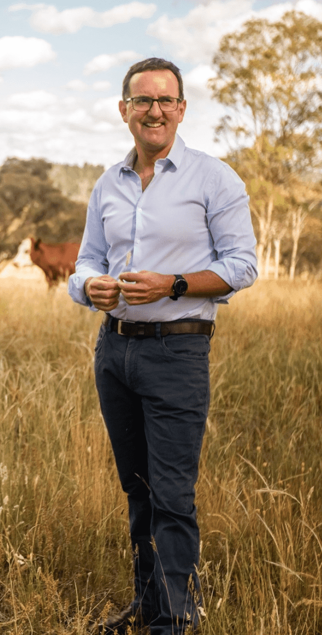 Matt Meehan standing in a paddock on a golden afternoon with a brown and a black cow in the far distance.
