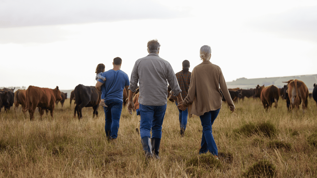 Farming family walking into paddock with cows